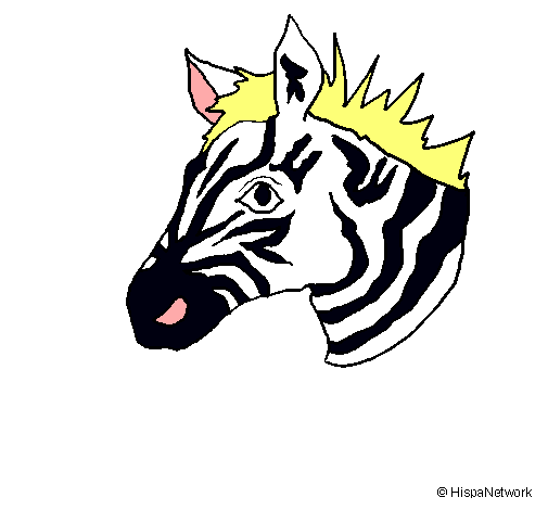 Dibuix Zebra II pintat per jordi