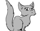 Dibuix Gata persa  pintat per el gat (la pruna)