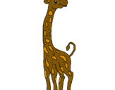 Dibuix Girafa pintat per JUDIT