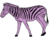 Dibuix Zebra pintat per Ruth