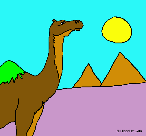 Dibuix Camell pintat per naia 