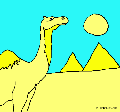 Dibuix Camell pintat per aleix