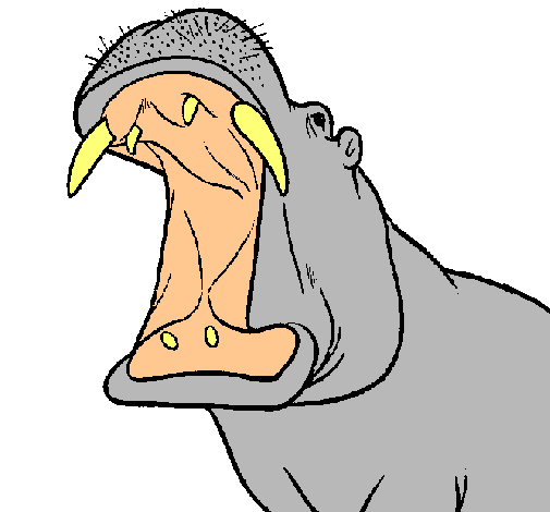 Dibuix Hipopòtam amb la boca oberta pintat per jordi