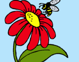 Dibuix Margarida amb abella pintat per nuria  figueras