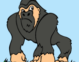 Dibuix Goril·la pintat per ALBA