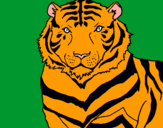 Dibuix Tigre pintat per marcbonic