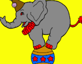 Dibuix Elefant sobre una pilota pintat per iker velasco