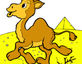 Dibuix Camell pintat per laura