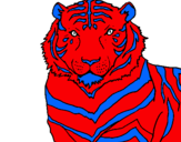Dibuix Tigre pintat per pol