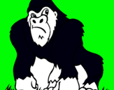 Dibuix Goril·la pintat per pol