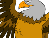 Dibuix Àguila Imperial Romana pintat per Jan