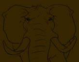 Dibuix Elefant africà pintat per ignacio f f 