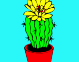 Dibuix Cactus amb flor pintat per Elena Granados