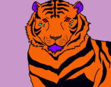 Dibuix Tigre pintat per nela