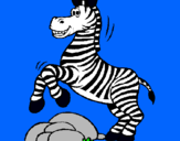 Dibuix Zebra saltant pedres pintat per lauraroxy