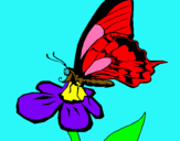 Dibuix Papallona en una flor  pintat per Marta