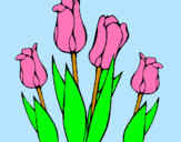 Dibuix Tulipes pintat per ozyani