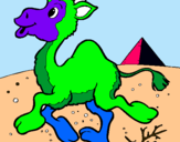 Dibuix Camell pintat per Diego