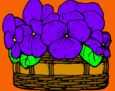 Dibuix Cistell de flors 12 pintat per maria viola