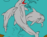 Dibuix Dofins jugant pintat per judit