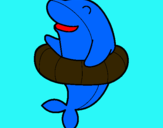 Dibuix Dofí amb flotador pintat per julia
