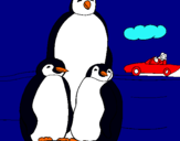 Dibuix Família pingüí  pintat per oriol