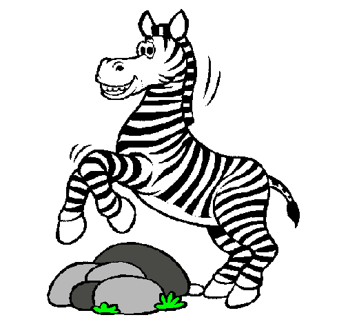 Dibuix Zebra saltant pedres pintat per nena