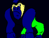 Dibuix Goril·la pintat per mono del Marcel