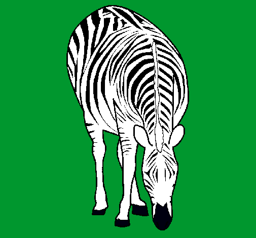 Dibuix Zebra pintat per lauramessi