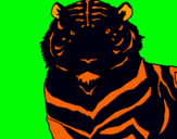 Dibuix Tigre pintat per bruna gómez cata
