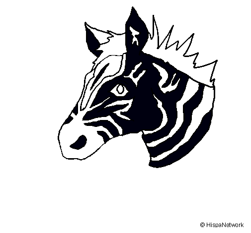 Dibuix Zebra II pintat per YAGObandera1