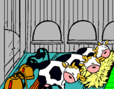 Dibuix Vacas en l'estable  pintat per Nil Escolà i Valls