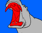 Dibuix Hipopòtam amb la boca oberta pintat per bruna gómez cata