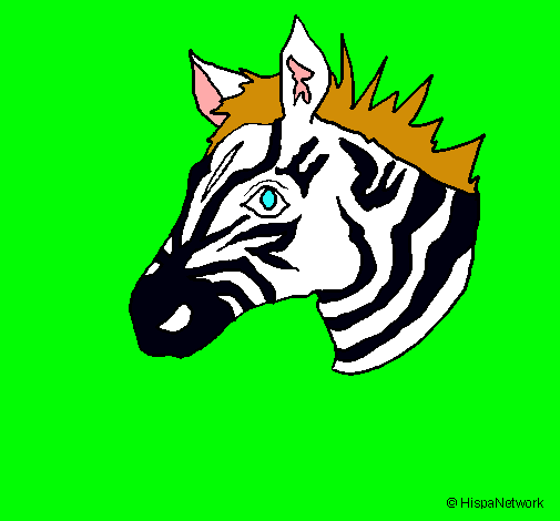 Dibuix Zebra II pintat per Marçal          Vizcaíno 