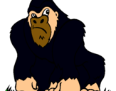 Dibuix Goril·la pintat per danelly