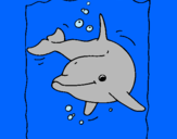 Dibuix Dofí pintat per DUNA