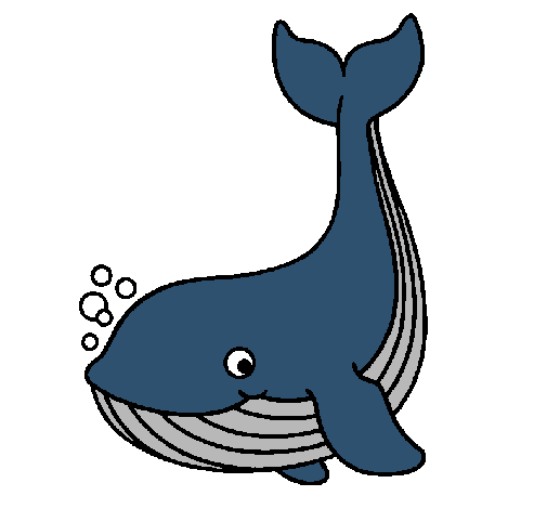 Dibuix Baleneta pintat per ballena