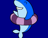 Dibuix Dofí amb flotador pintat per ainhoa