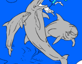 Dibuix Dofins jugant pintat per alex