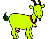 Dibuix Cabra pintat per la cabra