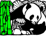 Dibuix Ós Panda i Bambú pintat per jan