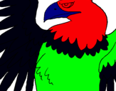 Dibuix Àguila Imperial Romana pintat per nuria