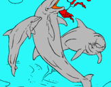 Dibuix Dofins jugant pintat per MIQUEL