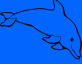 Dibuix Dofí content pintat per alana