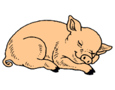 Dibuix Porc dormint pintat per lidia o