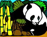 Dibuix Ós Panda i Bambú pintat per elia currius