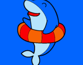 Dibuix Dofí amb flotador pintat per martav.