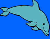 Dibuix Dofí content pintat per Nausica