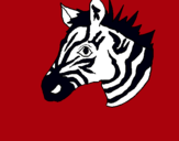 Dibuix Zebra II pintat per rita serrano