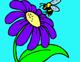 Dibuix Margarida amb abella pintat per ariadna gonzález tena